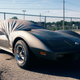 Illustration for article titled I Found the Roadkill Corvette
